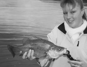 This is what most anglers will be chasing this month: Good-sized golden perch and lots of them, Sharon cast a spinnerbait from the bank for this one, of average size for Blowering Dam.
